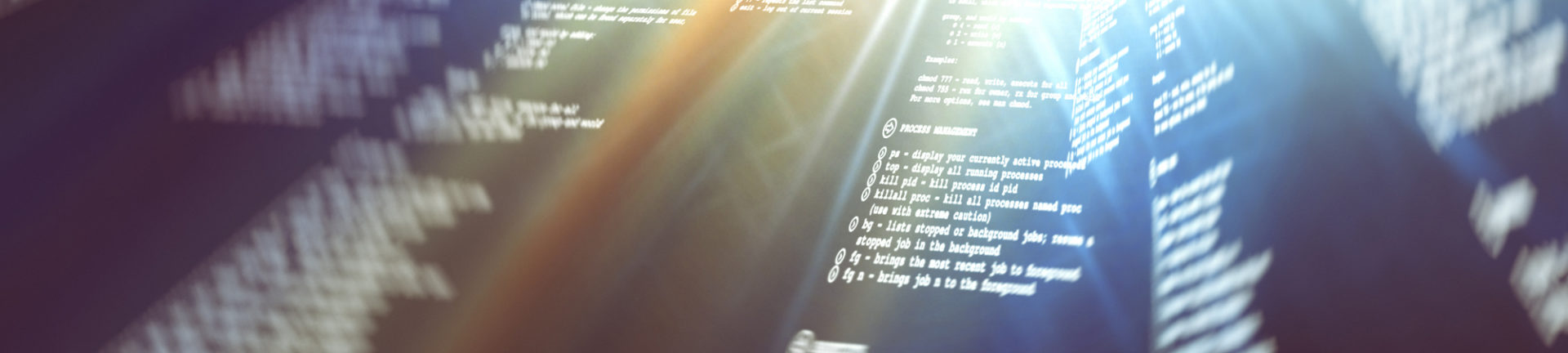 How to get my Envato purchase code?