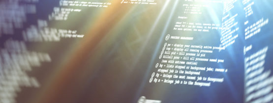 How to get my Envato purchase code?