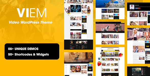 Viem - Video WordPress Theme